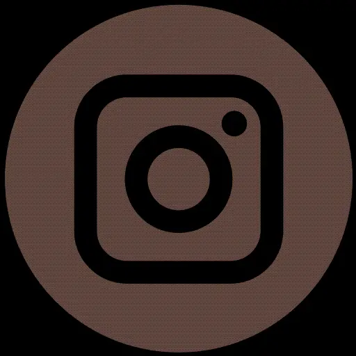 Download Instagram Social Network Logo Without Background png