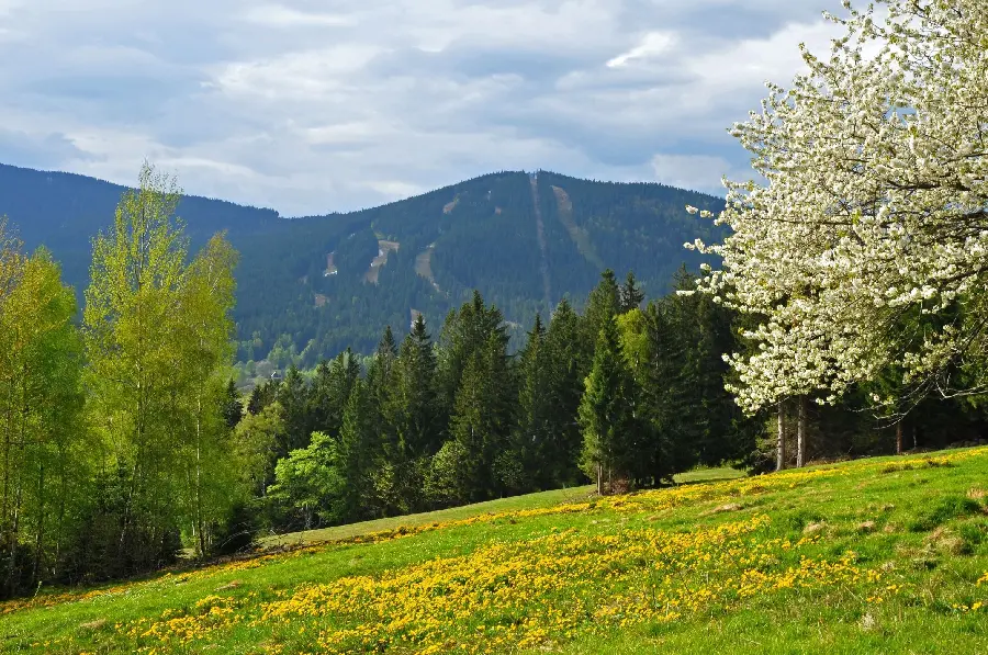 4K and luxurious photo of the nature of the Czech Republic