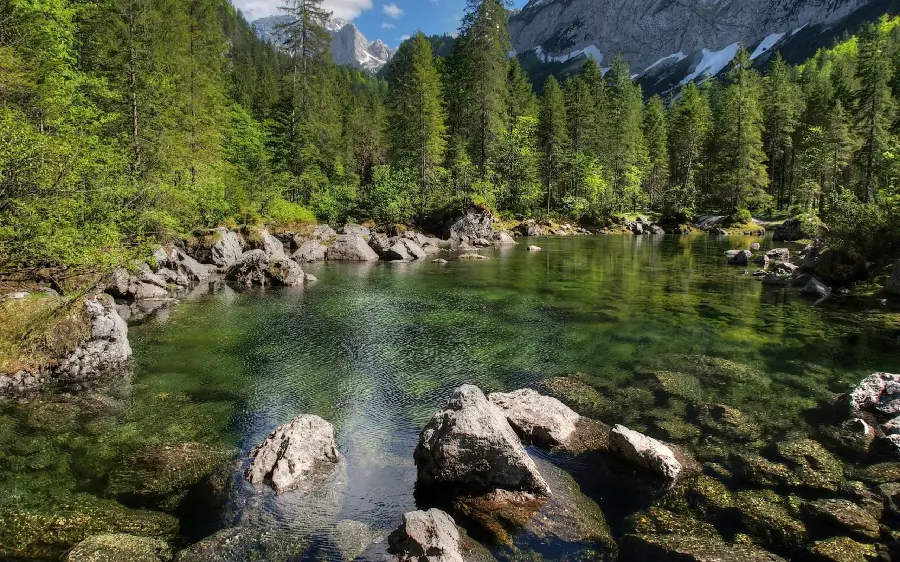 High-quality photo of a river with clear water in the heart of tropical forests