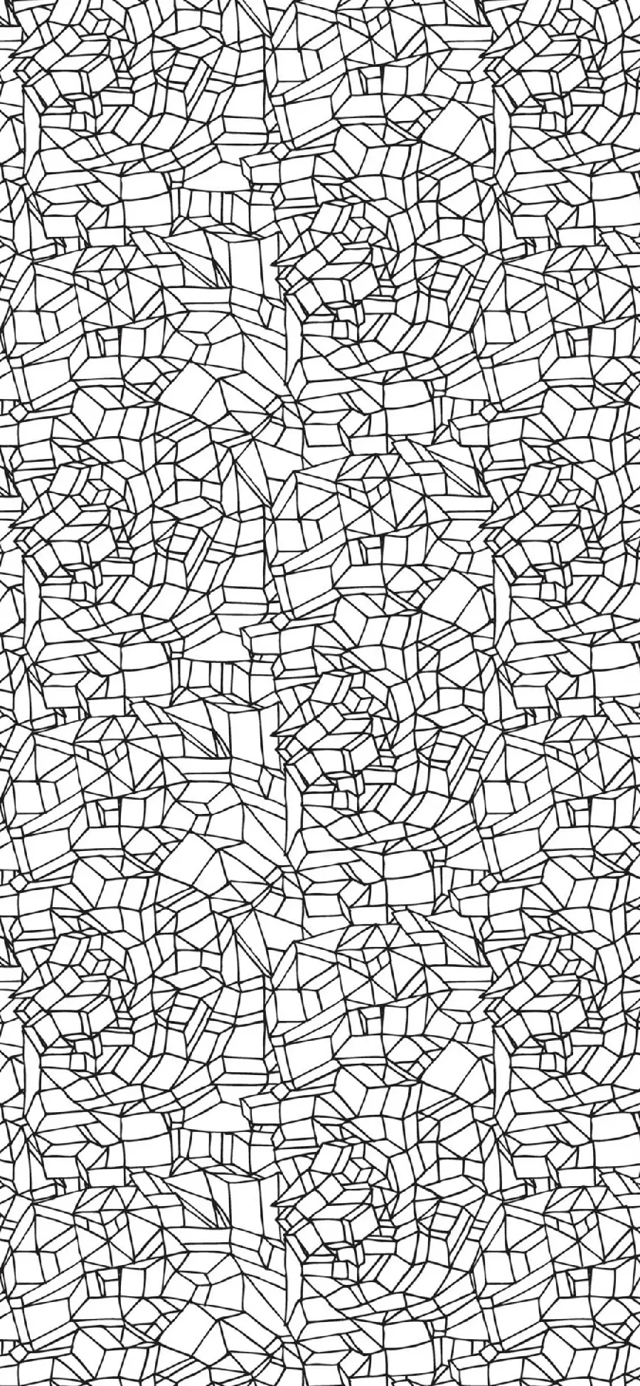 Amazing Black and White 3D Photo Suitable for iPhone