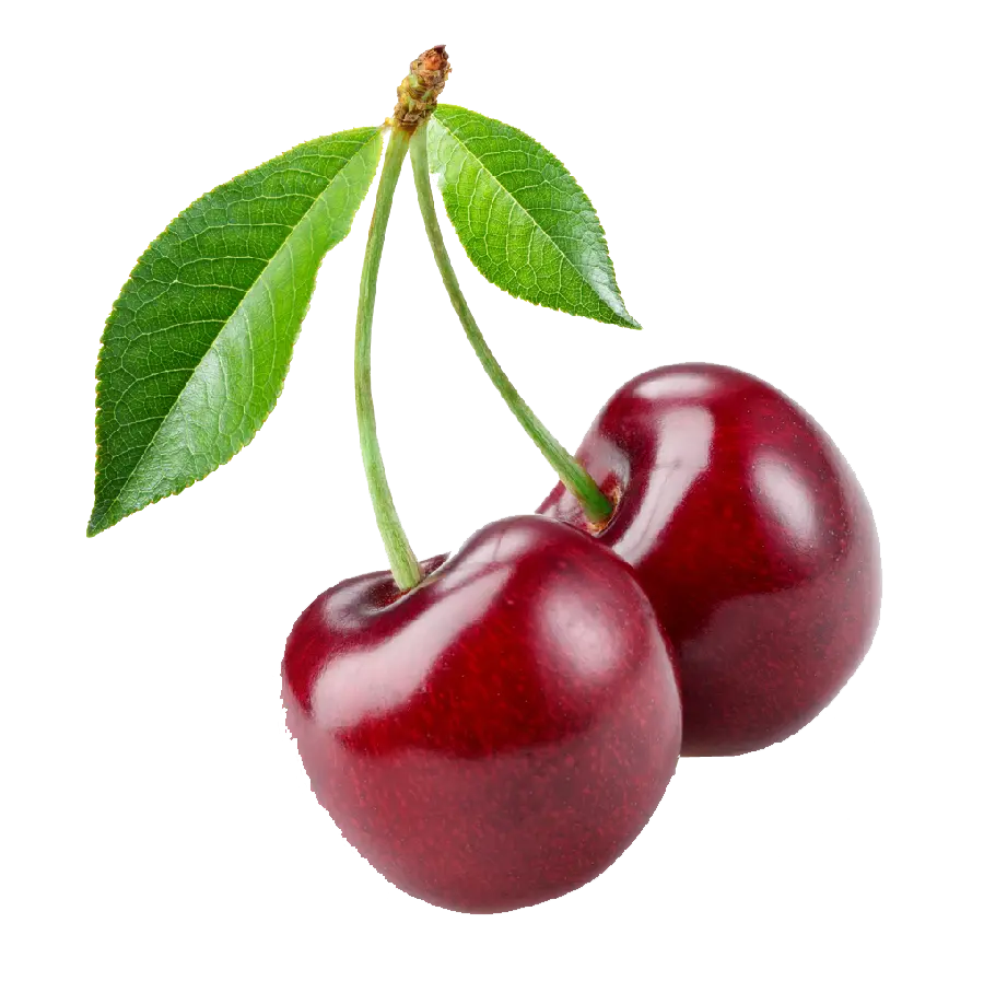 Double Branch Of Cherries In A Downloadable PNG
