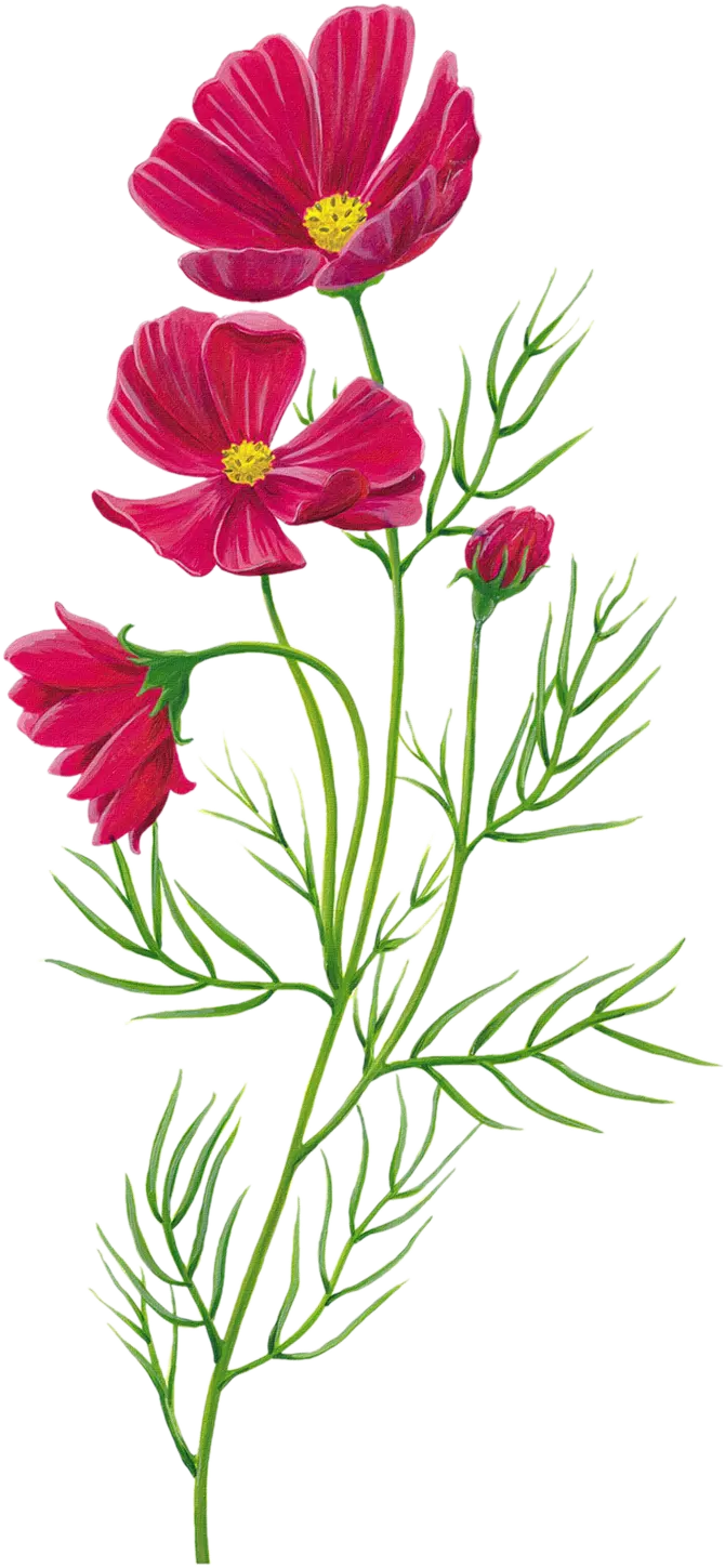 Sparkling purple flower PNG image for Photoshop