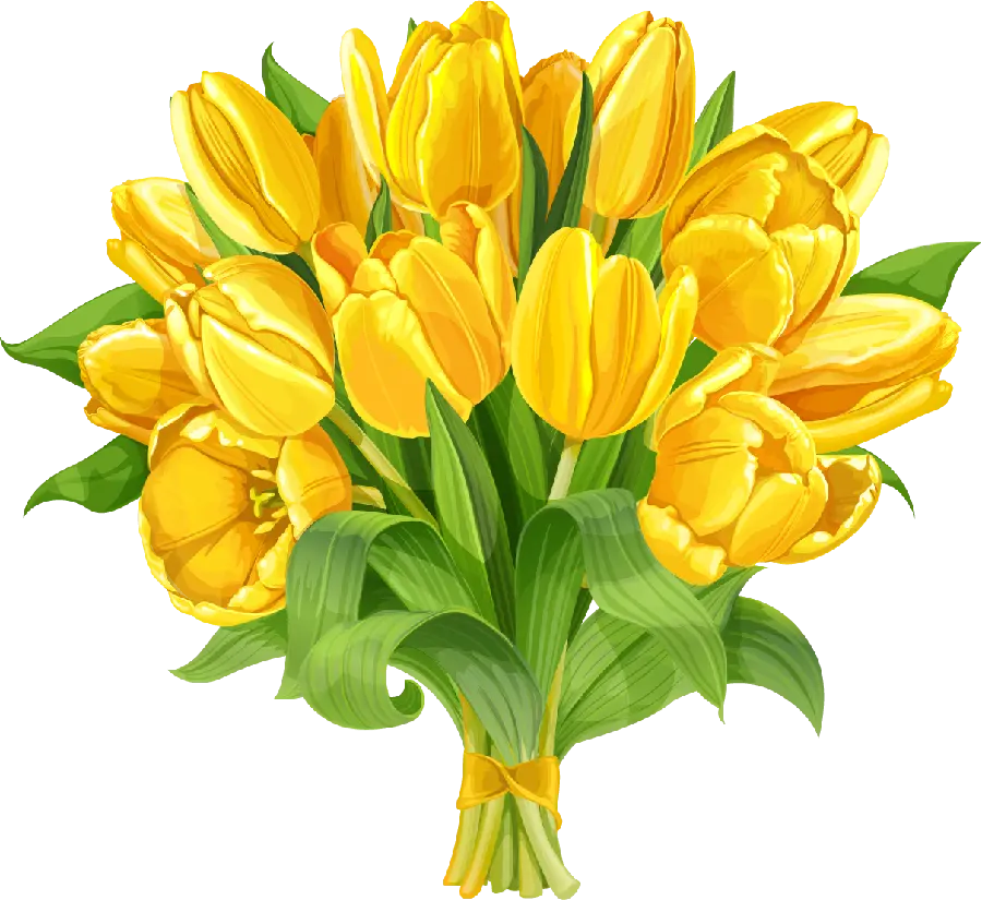 Beautiful vector bouquet of yellow tulips in popular png format