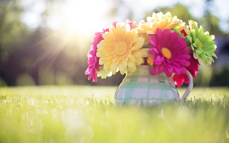 Flower Vase Photo Spring in Nature 4K