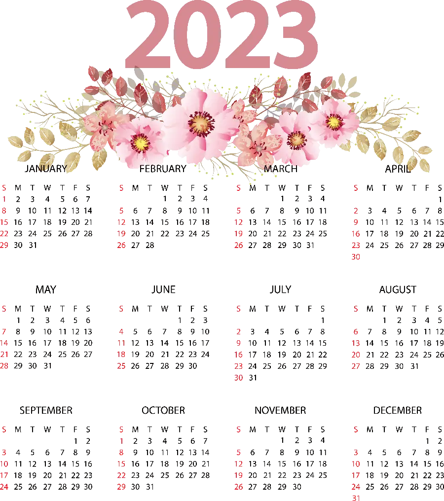 Image of the 2023 calendar with a pink flower background in hd quality