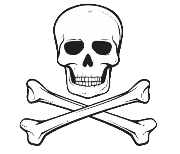 Completely free PNG image of a skull with two lower bones