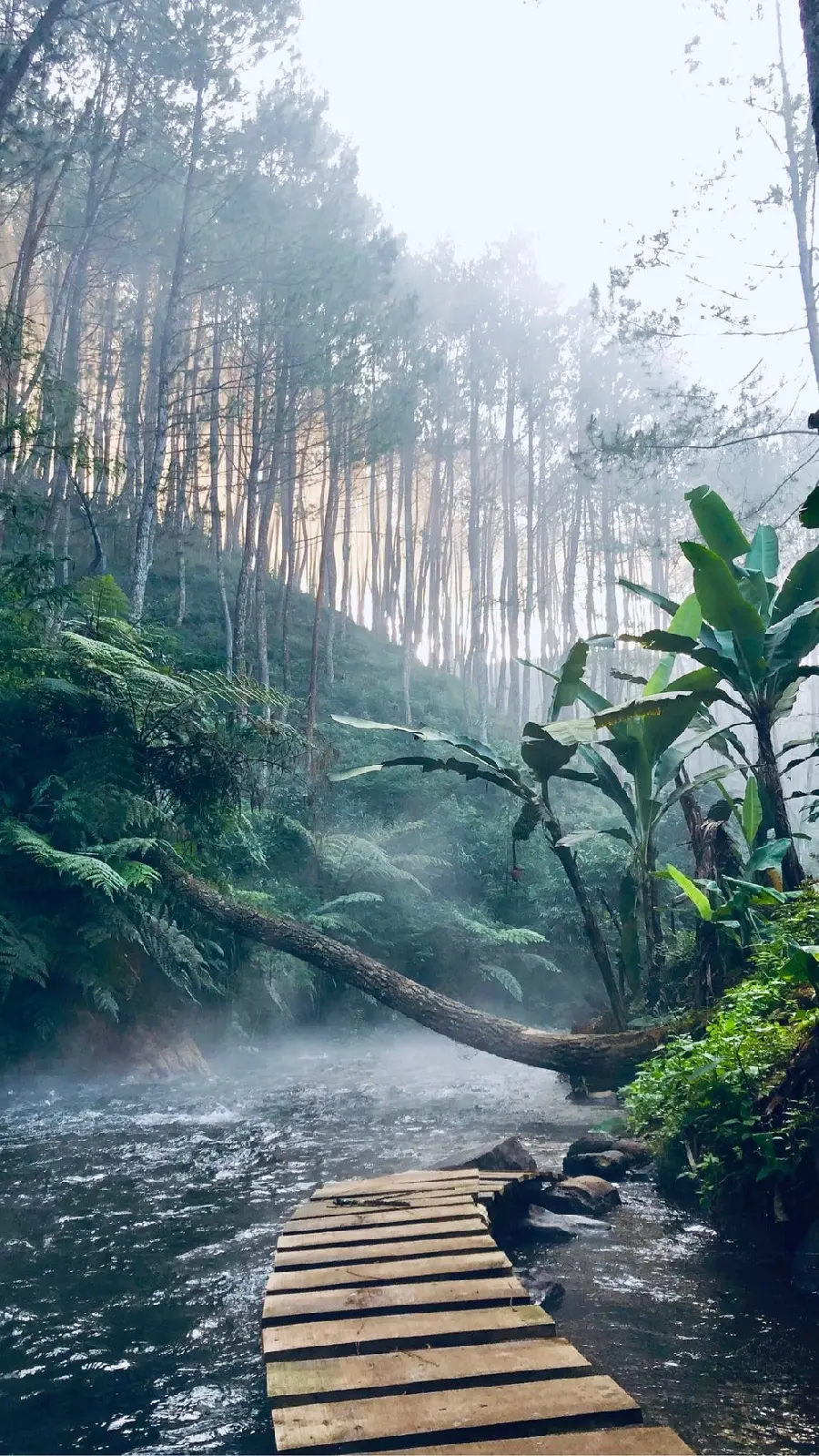 Dreamy image of a wooden bridge over a river for poster printing