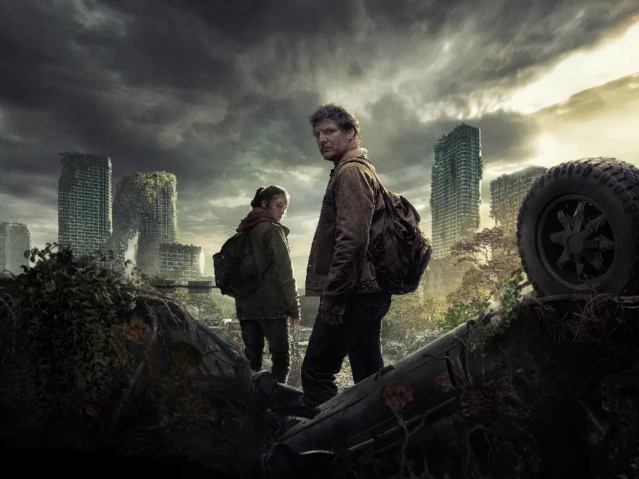 Best Last of Us Series Profile Picture with Special Quality