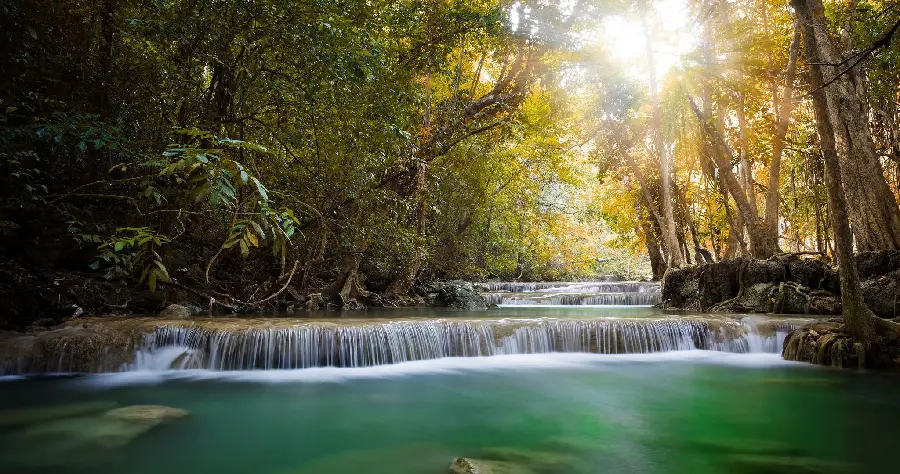 Amazing view of a blue-green river in a large forest 1402