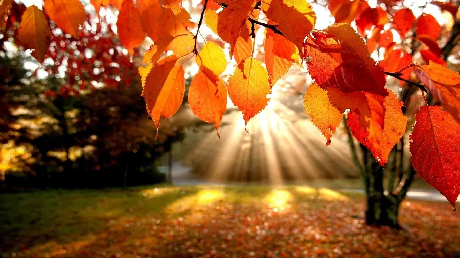Autumn profile photo with beautiful and spectacular views