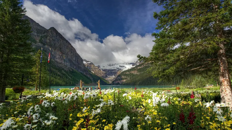 Amazing background of nature with colorful flowers around the lake