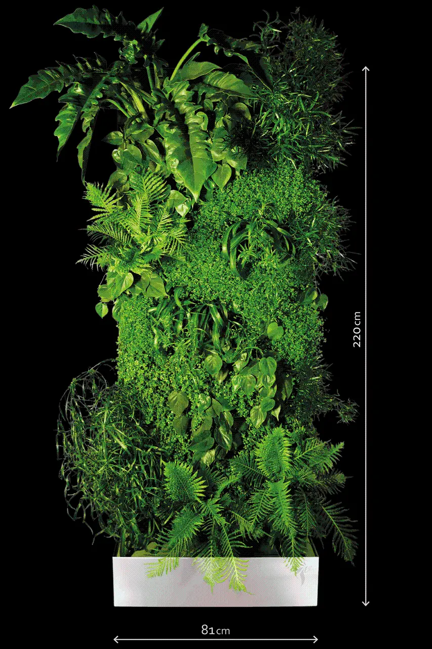 Photo of a green wall png without background