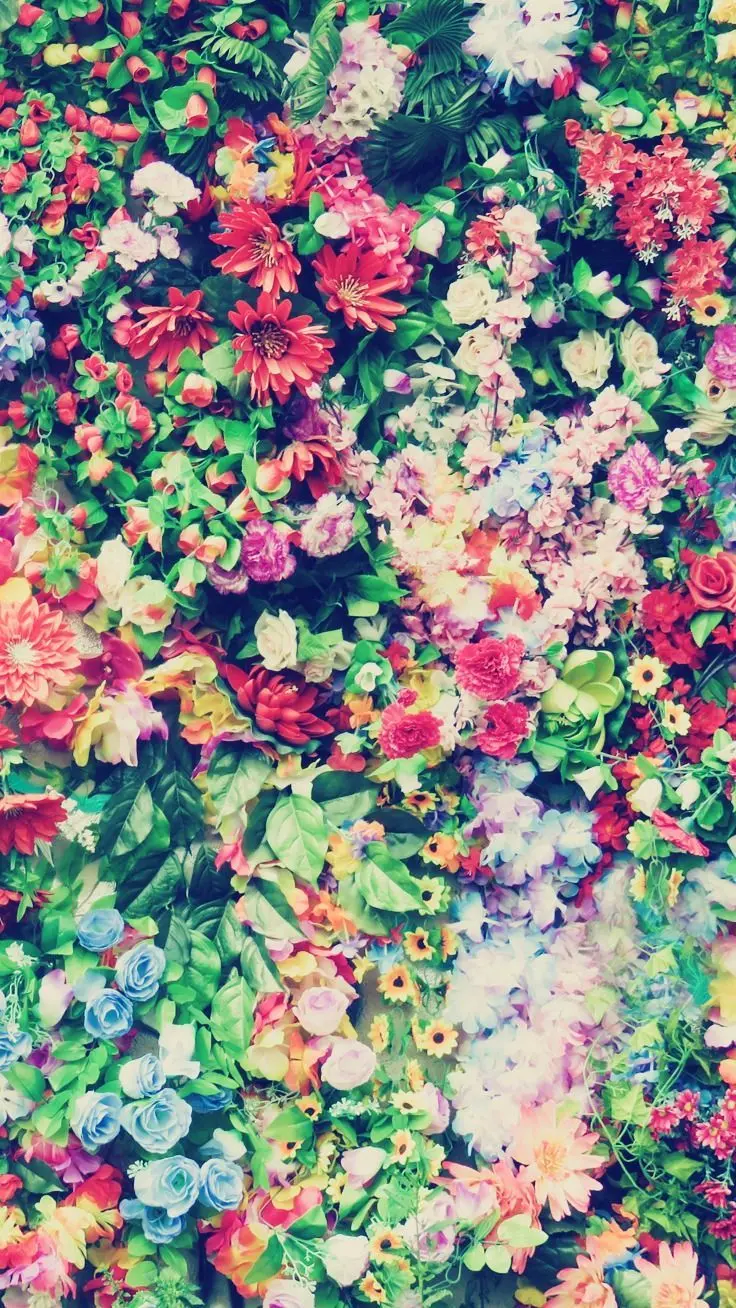Stylish The most beautiful spring flower background for Android