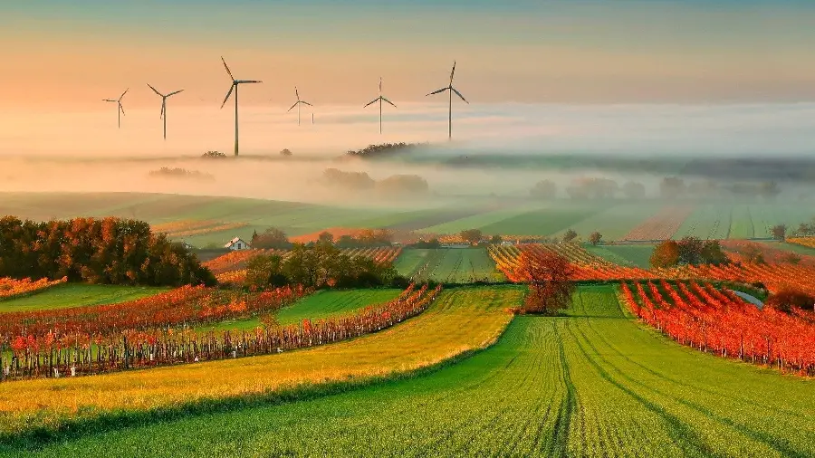 Beautiful landscape photo of Agricultural land and agricultural land photos and vectors