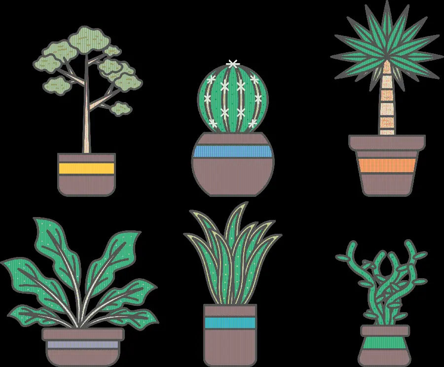 High Quality Vector Photo of Houseplants PNG