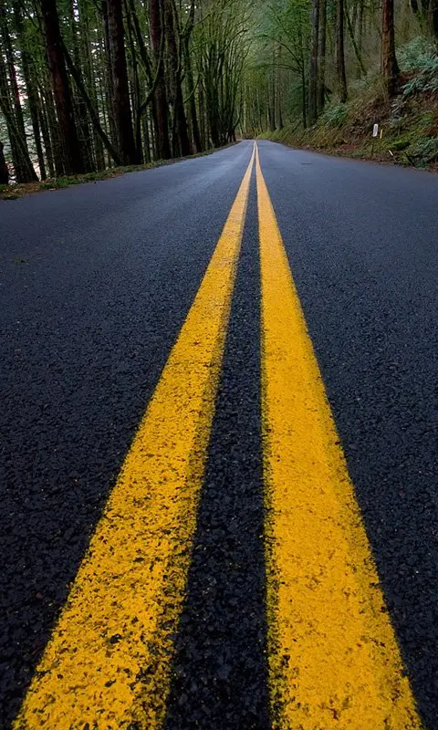 Beautiful Endless Road Wallpaper for Girls and Boys