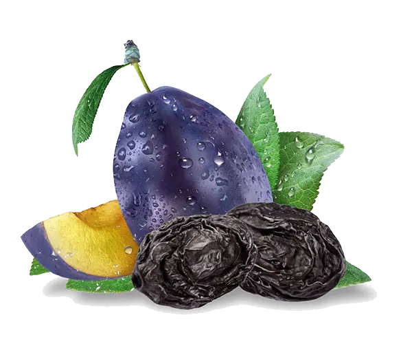 Picture without background of fresh plums and dried plums side by side