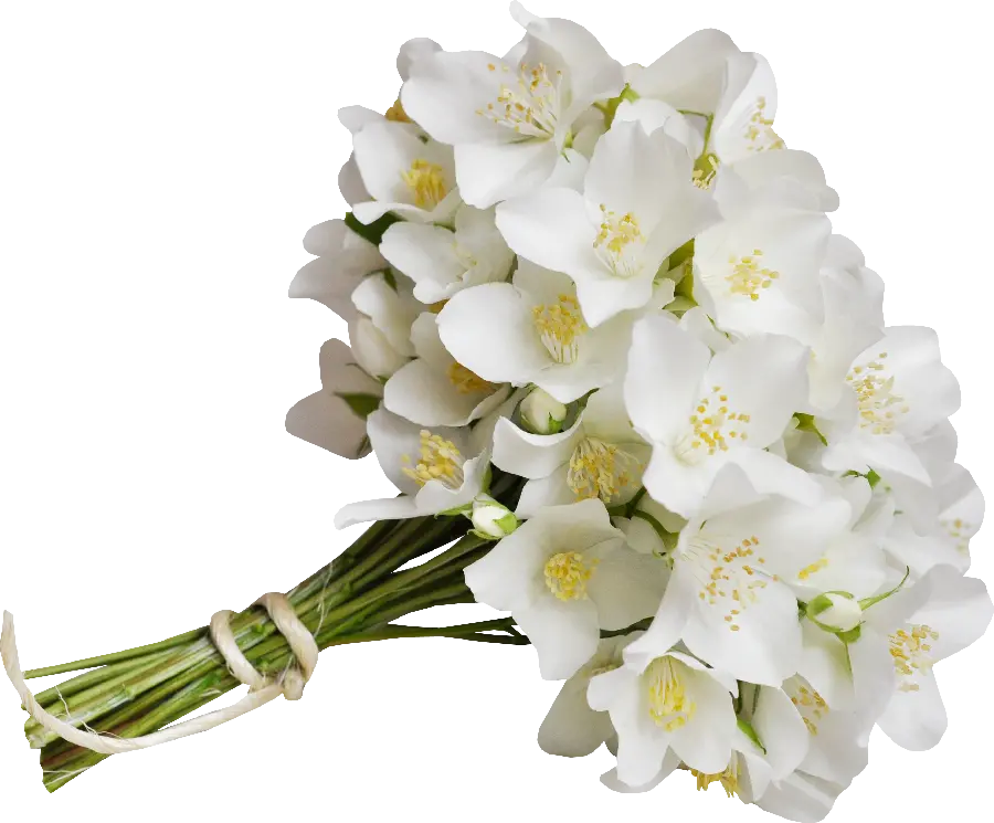 Simple and stylish white bouquet raw image with blank background