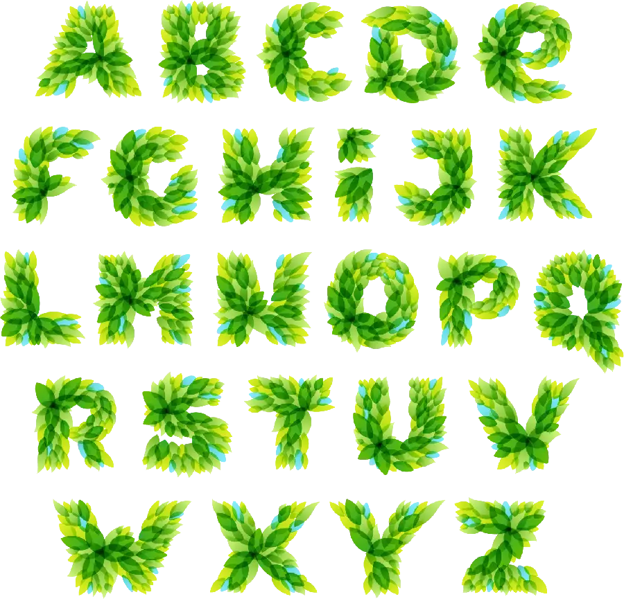 Photo of the English alphabet with leaf design