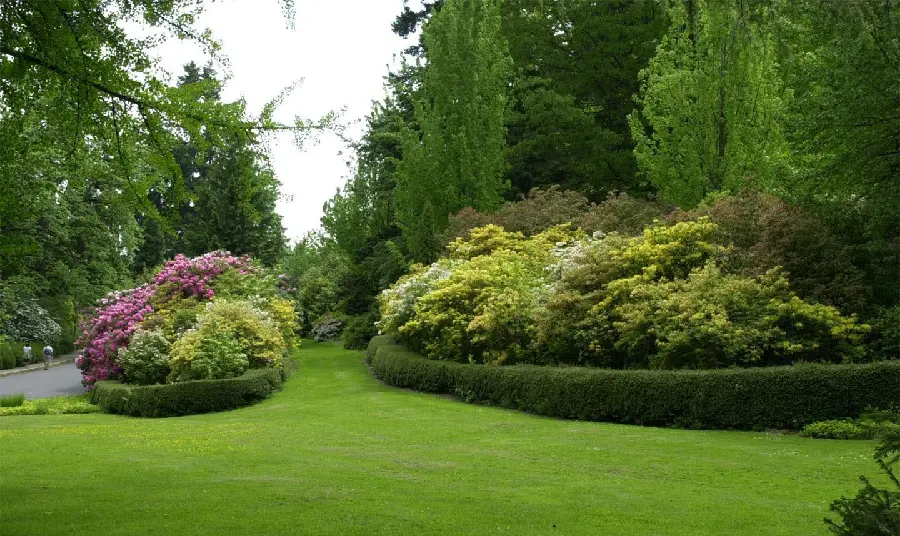 Spring Season Stock Photo in Lush Park for Instagram