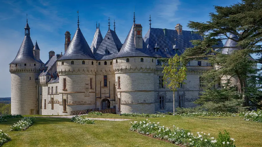 Beautiful castle image in lush nature for wallpaper 