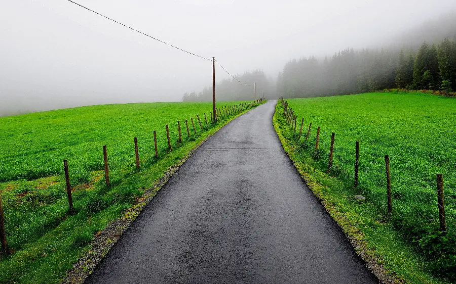 Relaxing image of a road in green nature with clean and foggy air