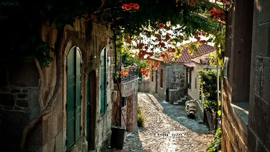 Interesting photo of a dreamy alley with diverse and beautiful flowers in Italy 