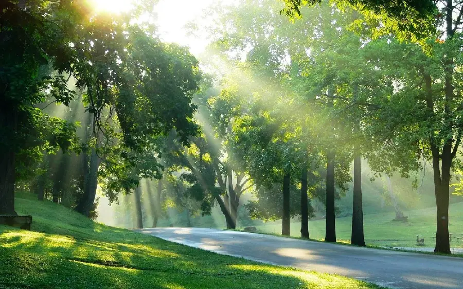 Spring nature photos and wallpapers with high quality full HD