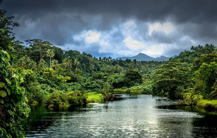 Amazing view of a clear river in nature for Instagram 