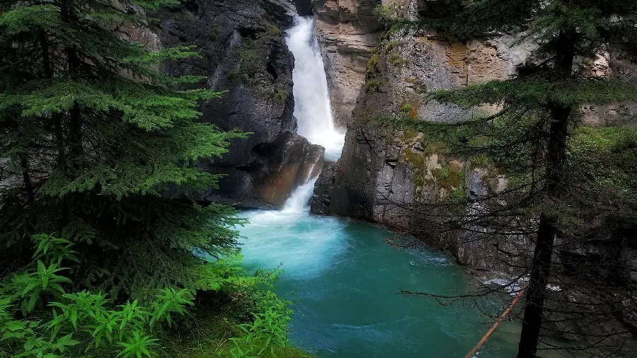 A charming picture of a waterfall Beautiful and the gaj tree next to it 