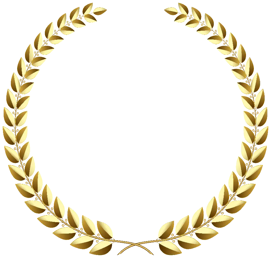 Circular photo with golden olive leaves for profile