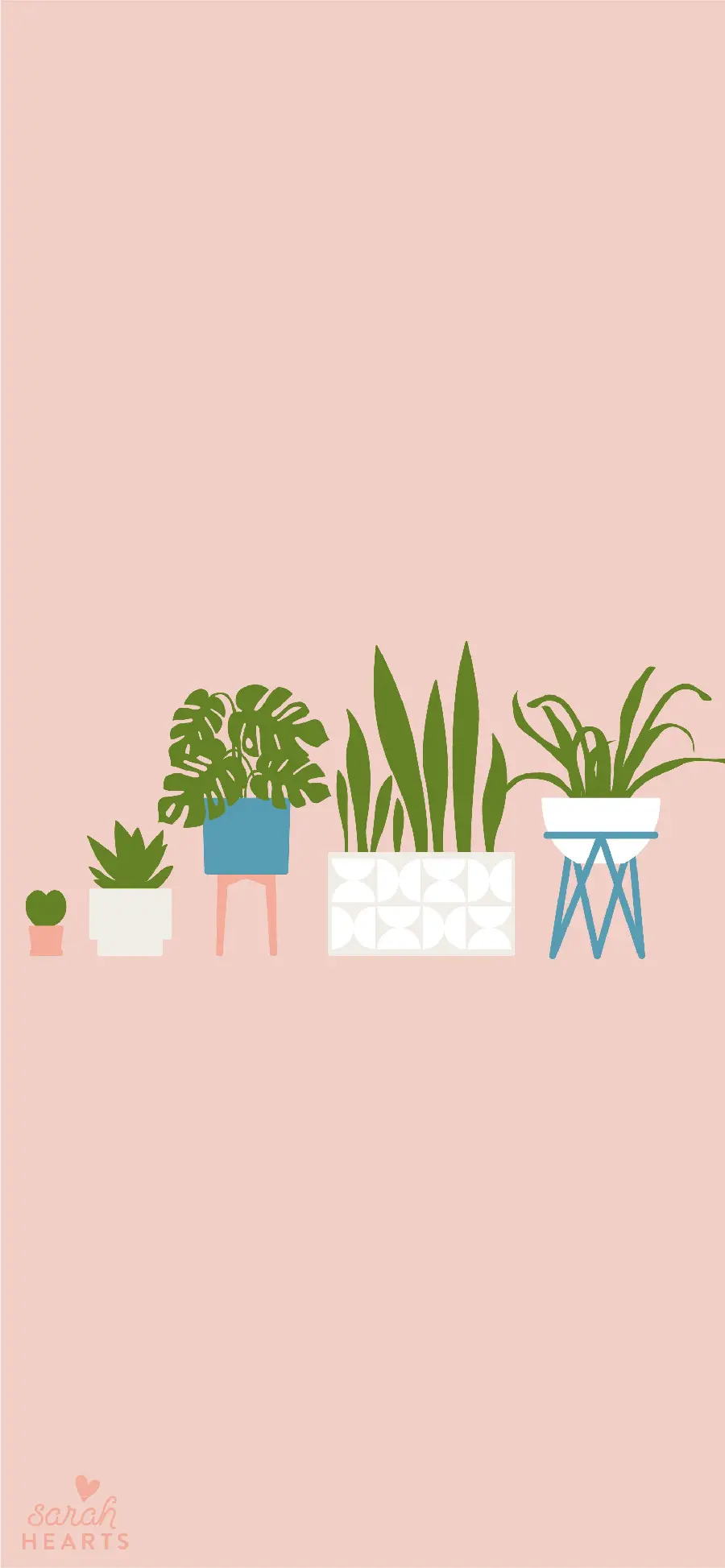 4k graphic photo of houseplants