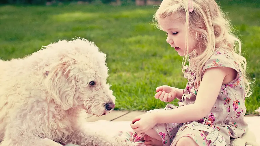 Photo of a beautiful little girl playing with her dog
