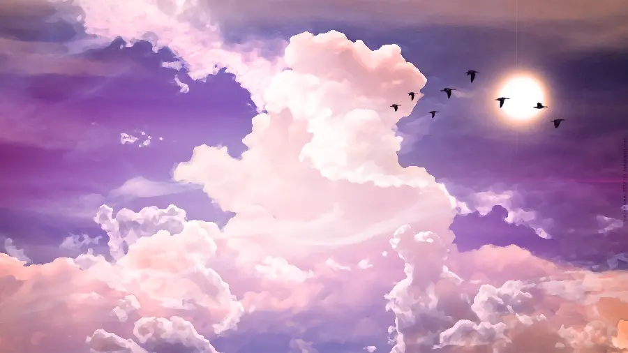 Download high-quality and beautiful photos of the unique pink sky