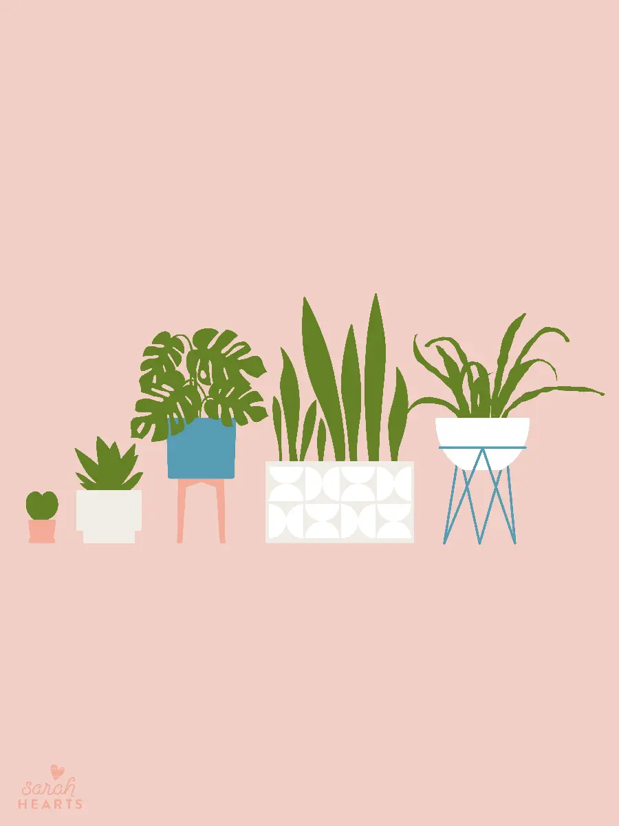 Special graphic photo of houseplants