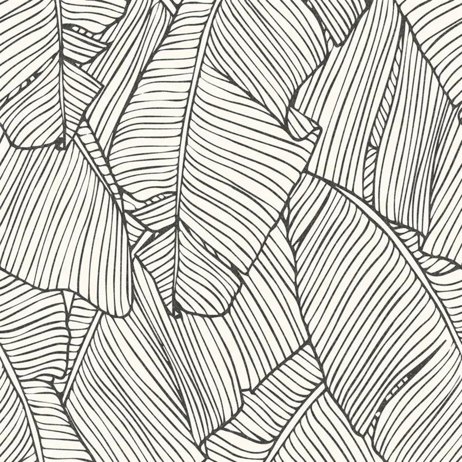 Photo of blank white background and black stripes