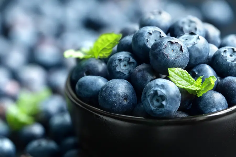 Free download of blueberry fruit photos