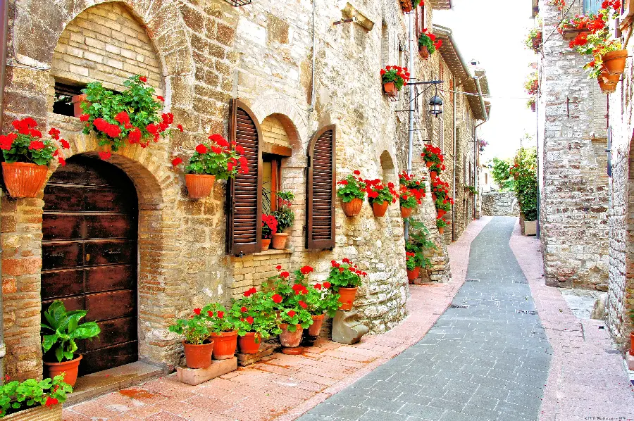 Attractive image of a deserted alley with beautiful geraniums