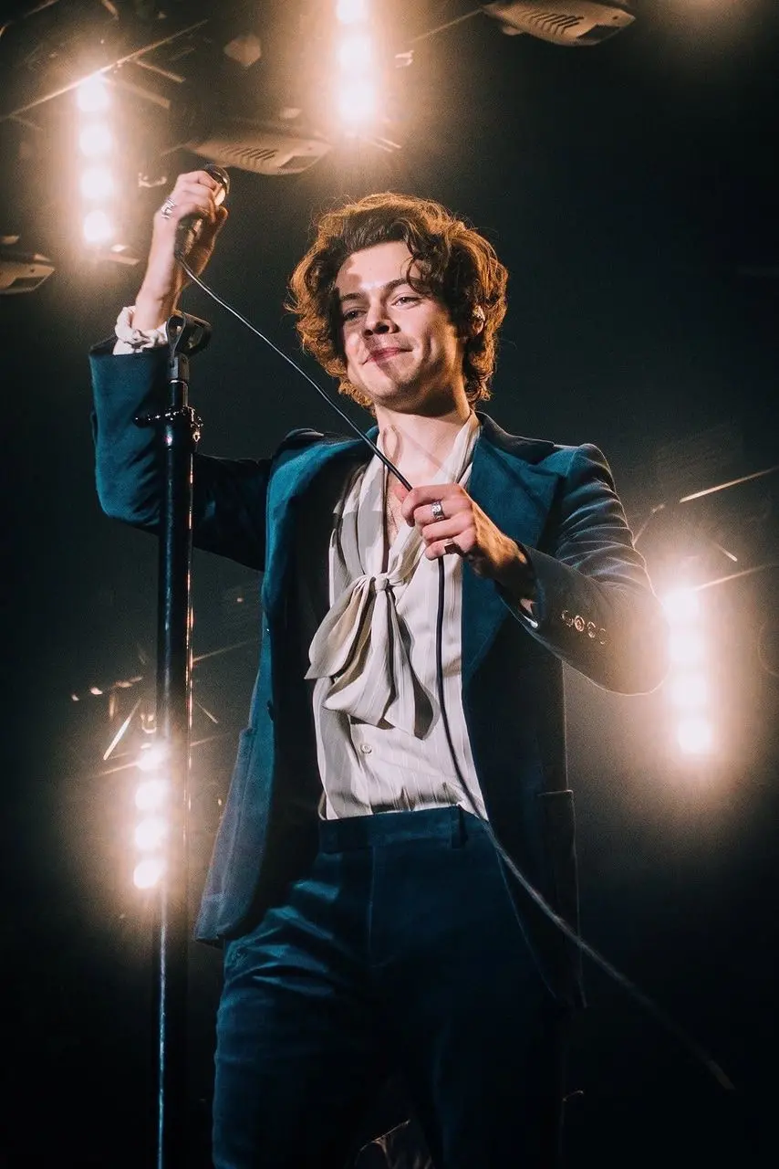 Spectacular photo of the famous Harry Styles in a beautiful classic dress