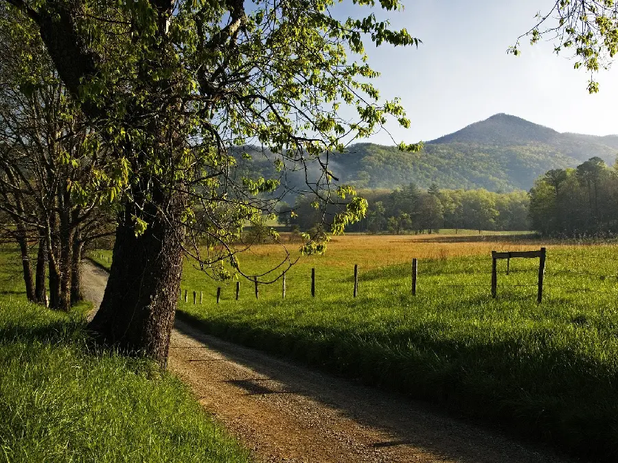 Stock image of a beautiful spring morning and green field