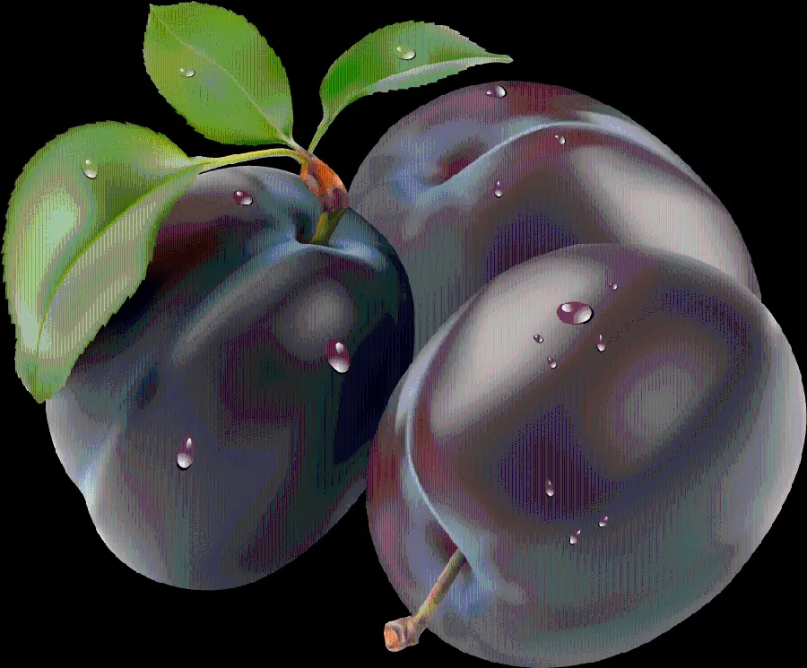 Black plum backgroundless image for PhotoShop