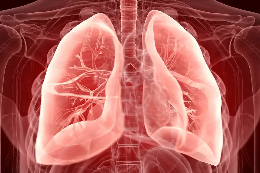 Photo of a healthy lung in radiology