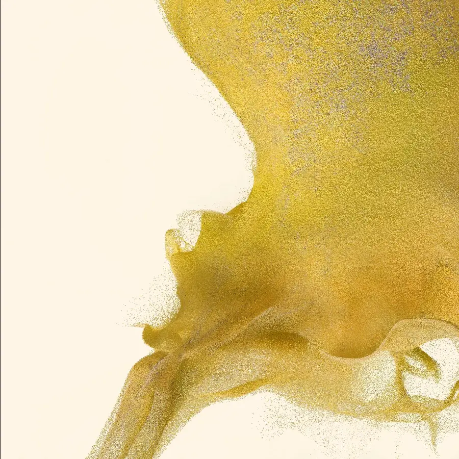 Download Samsung Galaxy S23 Ultra Wallpaper
