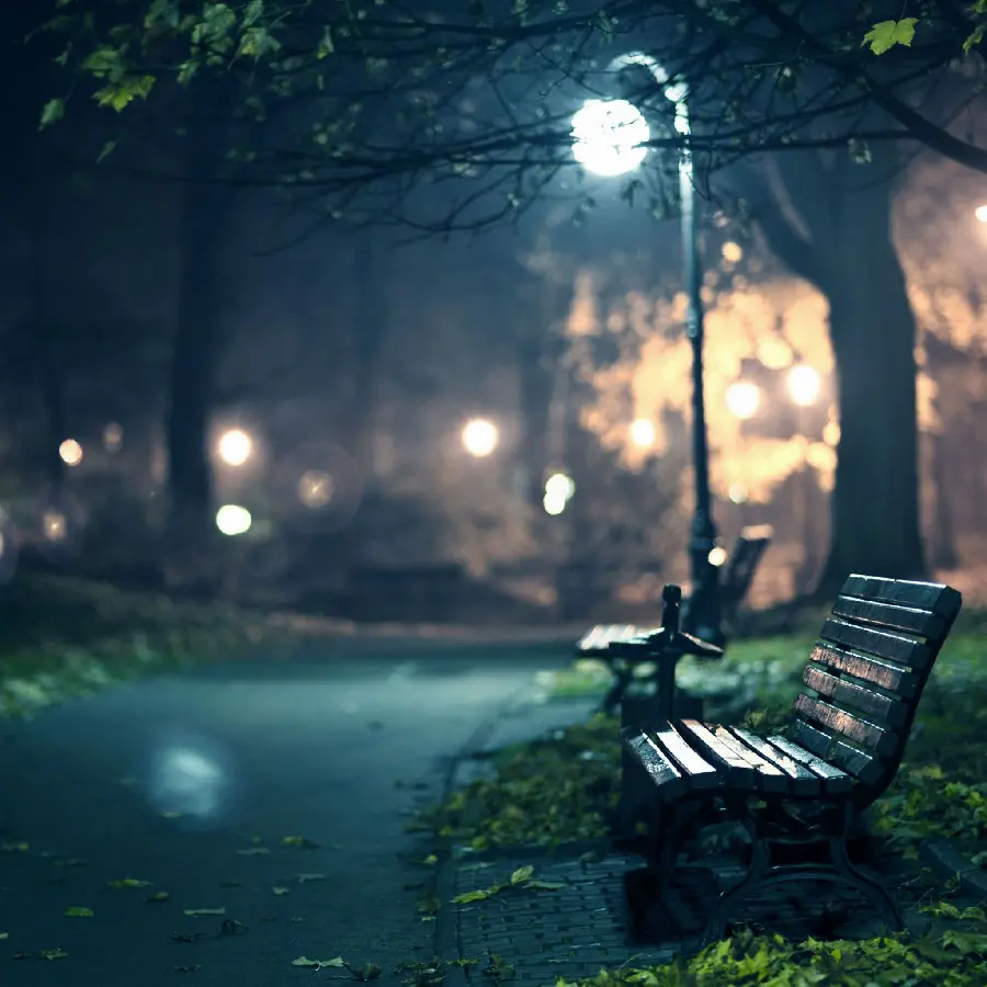 Most Famous Lonely Street Photo with Bench and Lamp 1402