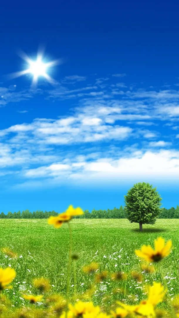 Spring and sunny nature wallpaper for Samsung Galaxy A13 4G