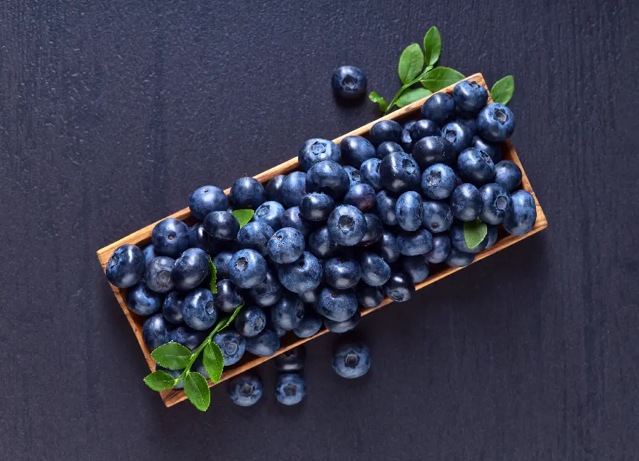 Photo of blueberriesDelicious Blueberry