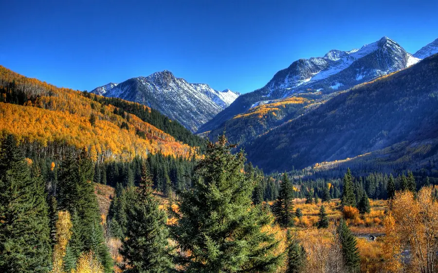 New artistic photo of the spectacular combination of colors in nature 