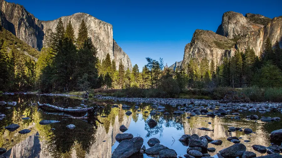 The most beautiful nature background for stylish people's computers