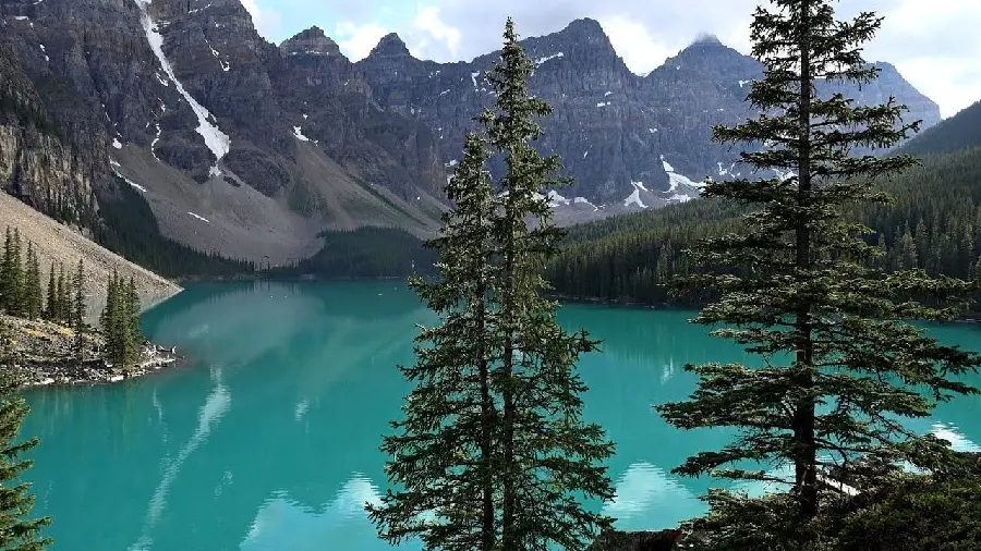 Photo of Vancouver Forest and Lake, Canada FULL HD