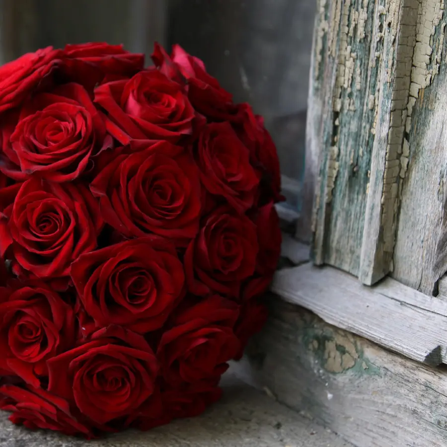 HD photo with a spectacular red rose bouquet design for the desktop
